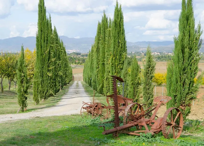 Villa Margherita - Teloni *